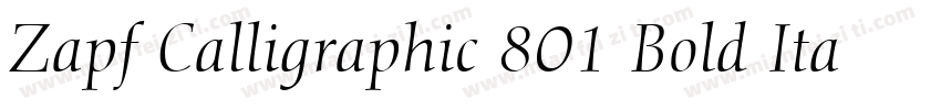 Zapf Calligraphic 801 Bold Italic BT字体转换